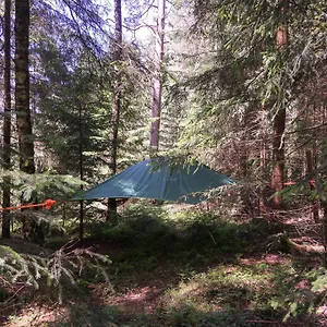 Oda ve Kahvaltı Baumzelt Im Wald, Regen
